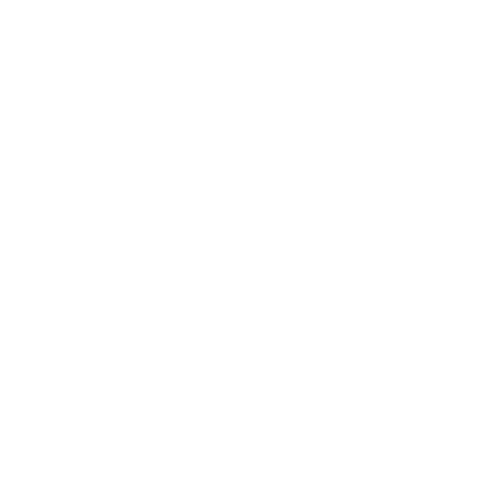 icono1