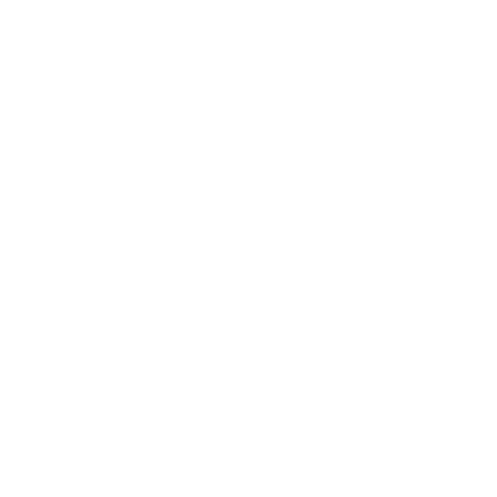 icono3