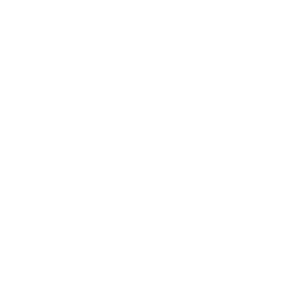icono4